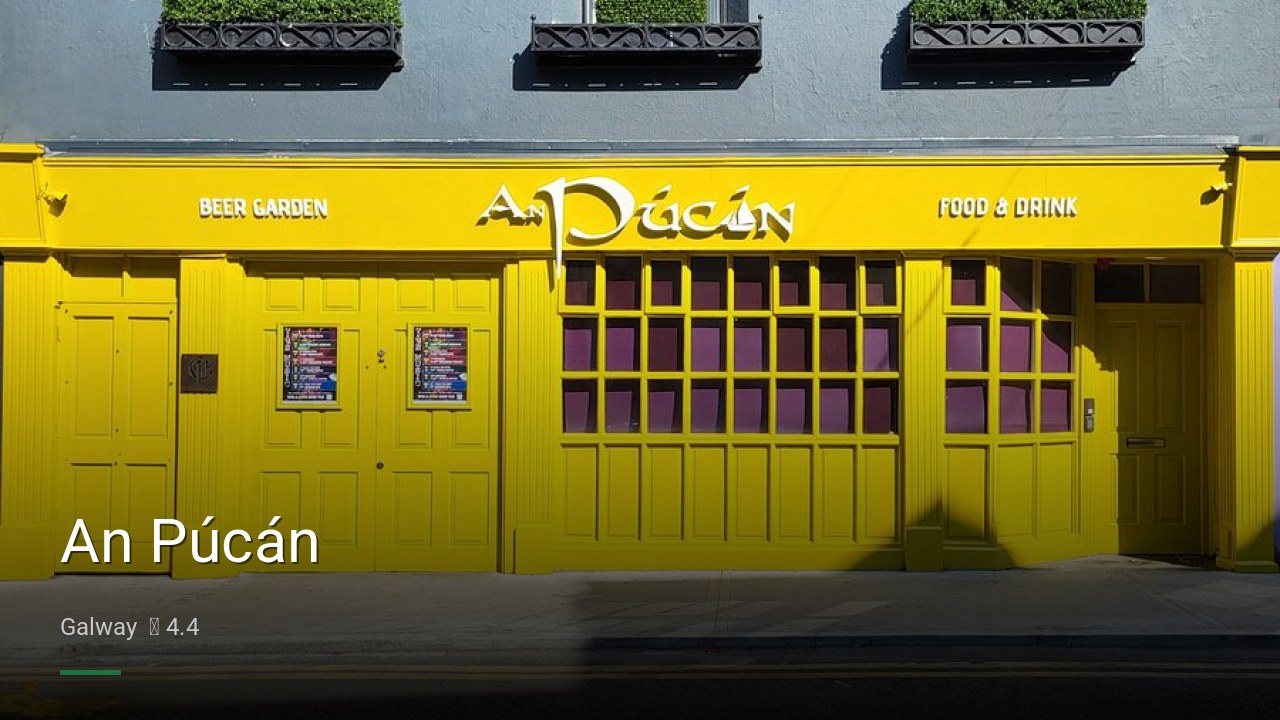 An Púcán - Sports Bars in Galway