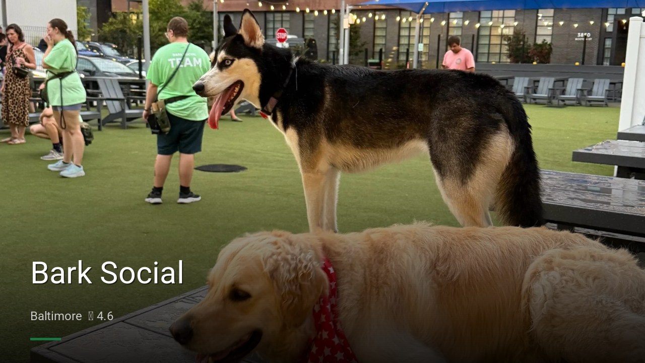 Bark Social - Sports Bars in Baltimore