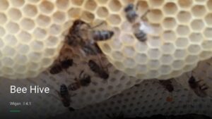 Bee Hive — Pubs in Wigan