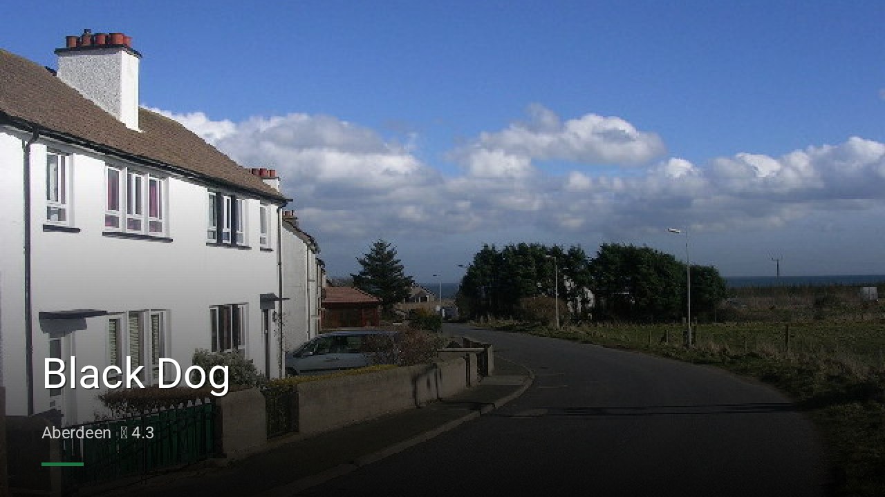 Black Dog - Sports Bars in Aberdeen