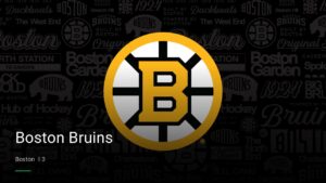 Boston Bruins — Sports bars in Boston