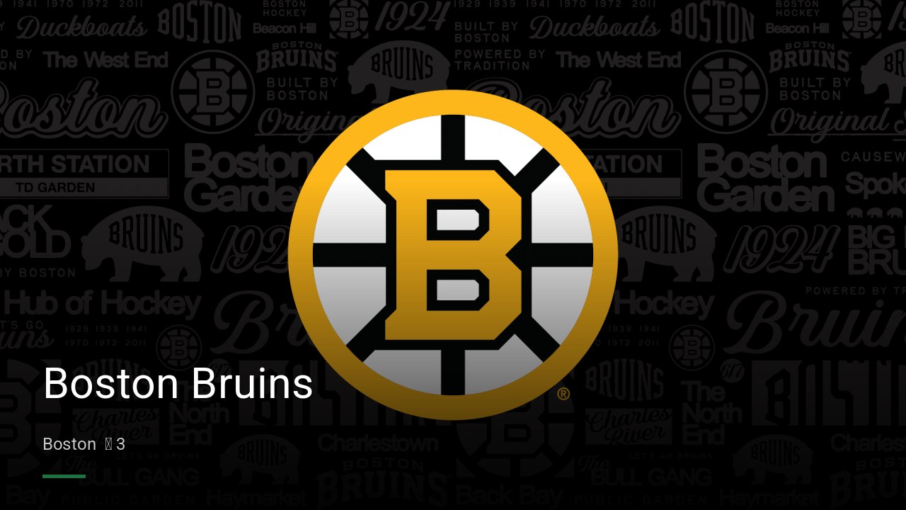 Boston Bruins - Sports Bars in Boston