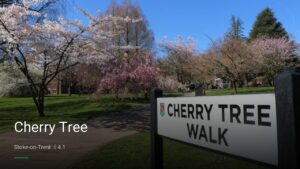 Cherry Tree — Pubs in Stoke-on-Trent