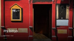 itty bittys — Pubs in Waterford