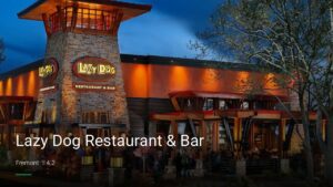 Lazy Dog Restaurant & Bar — Sports bars in Fremont