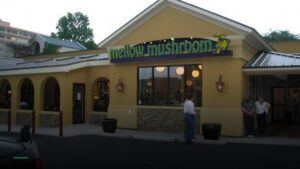 Mellow Mushroom Atlanta – Buckhead — Sports bars in Atlanta