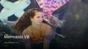Mermaids VB — Sports bars in Virginia Beach