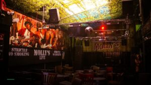 Molly’s Chambers — Pubs in Liverpool