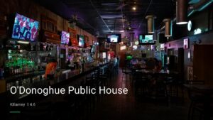 O’Donoghue Public House — Pubs in Killarney