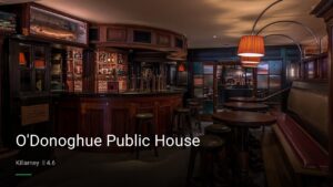 O’Donoghue Public House — Pubs in Killarney