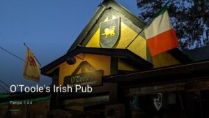 O’Toole’s Irish Pub — Sports bars in Tampa