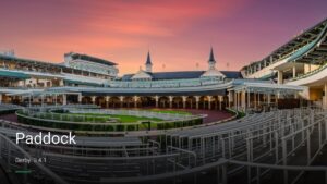 Paddock — Pubs in Derby