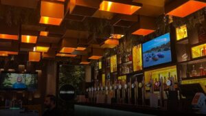 Watch UFC at Peg & Grill in Birmingham