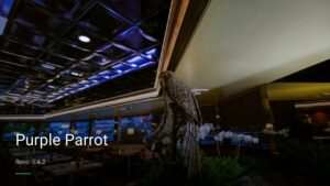 Purple Parrot — Sports bars in Reno
