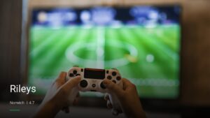 Rileys — Pubs in Norwich