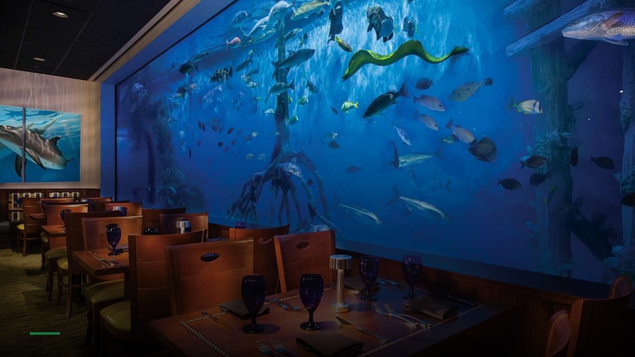 RumFish Grill and Sports Bar - Sports Bars in St. Petersburg