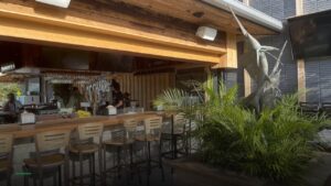 Sharks Bar & Grill — Sports bars in St. Petersburg