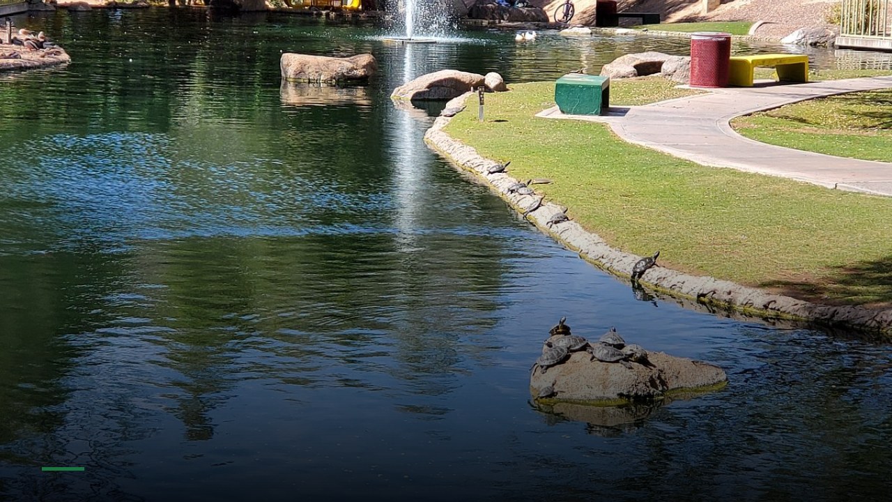 Spokes On Southern - Sports Bars in Phoenix