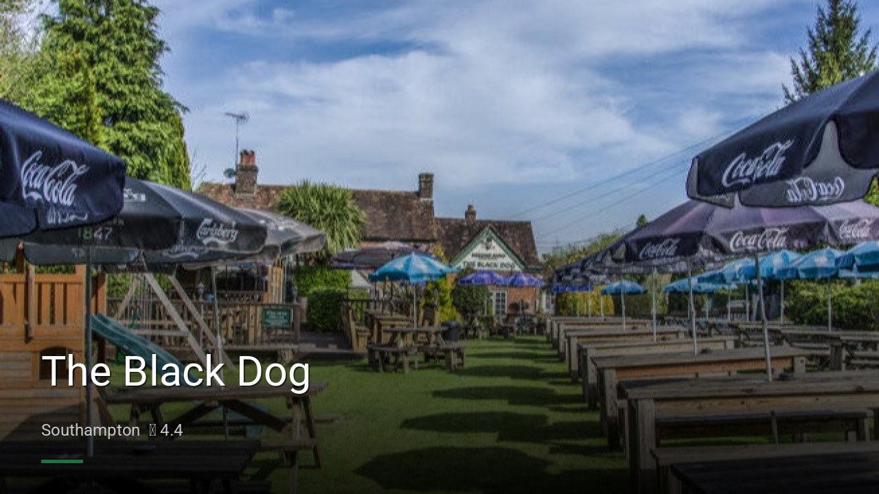 The Black Dog - Sports Bars in Southampton