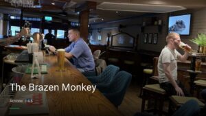 The Brazen Monkey — Pubs in Athlone