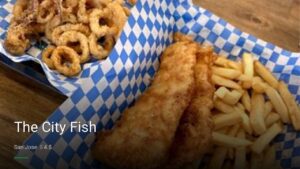The City Fish — Sports bars in San Jose