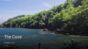 The Cove — Pubs in Torquay