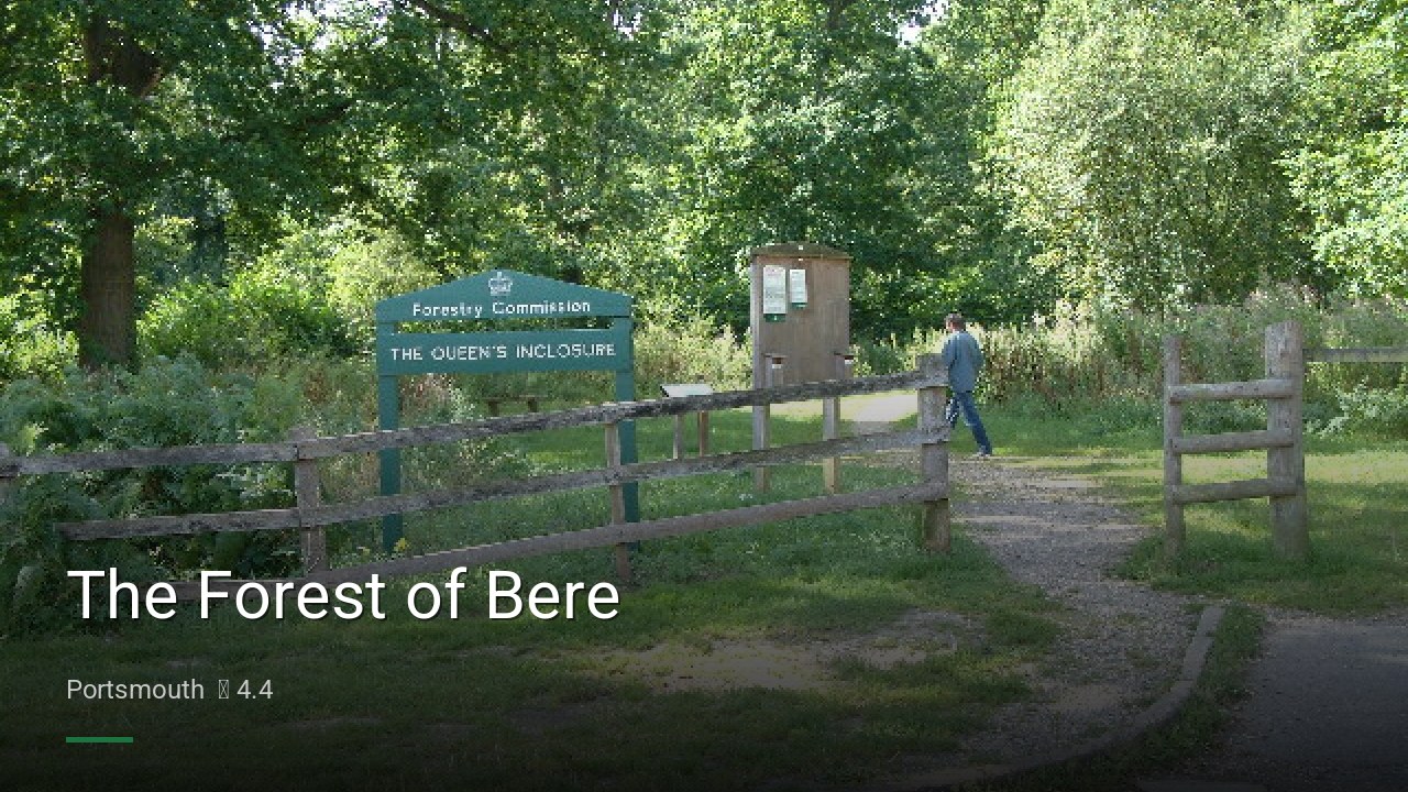 The Forest of Bere - Sports Bars in Portsmouth