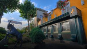 The Goat Bar & Grill — Pubs in Dublin
