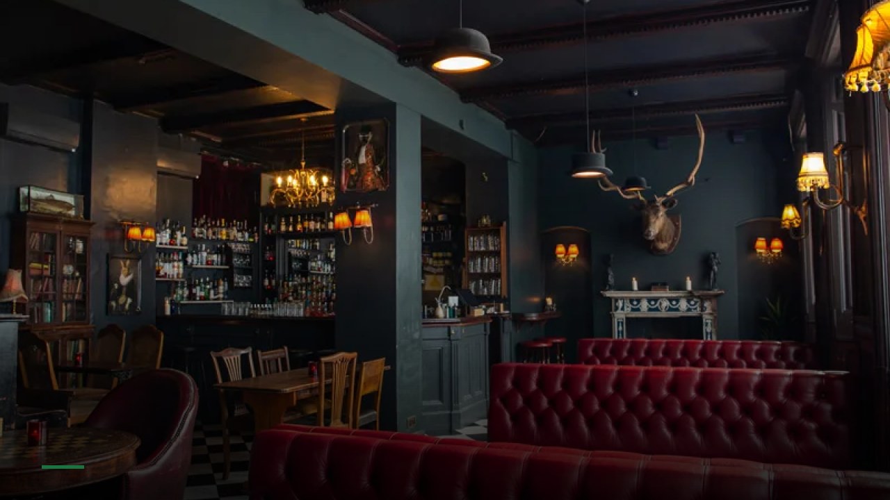 The Milk Thistle - Sports Bars in Bristol