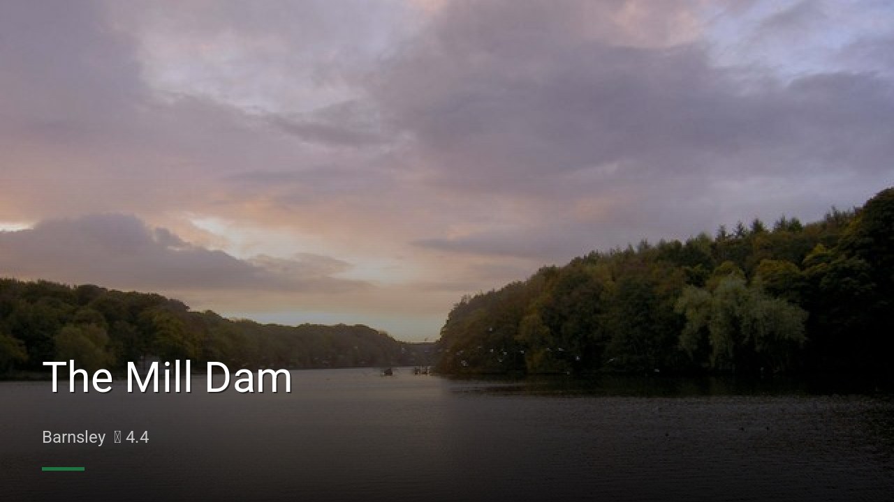 The Mill Dam - Sports Bars in Barnsley