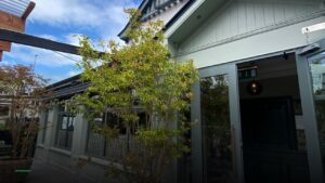 The Rendezvous — Pubs in Cork