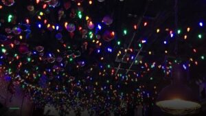 The Skinny Bar and Lounge — Sports bars in New York