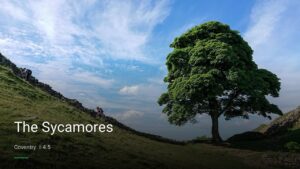 The Sycamores — Pubs in Coventry