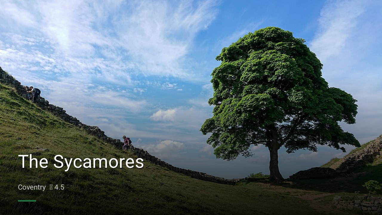 The Sycamores - Sports Bars in Coventry