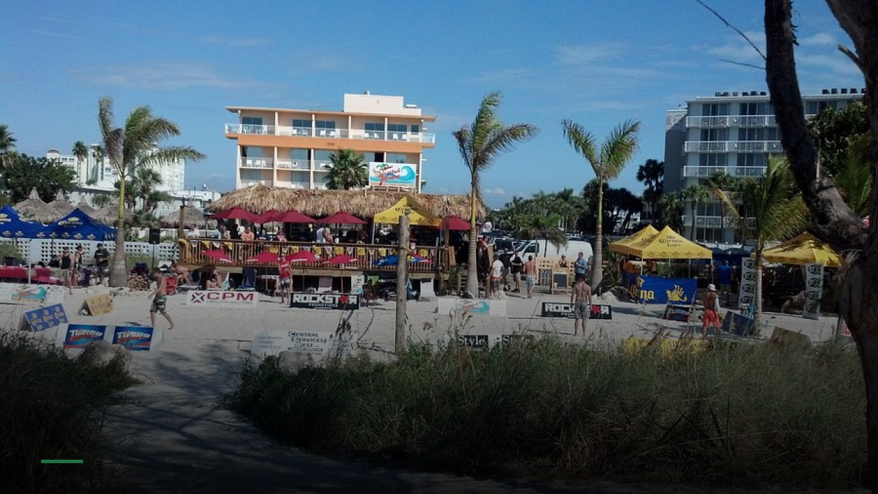 The Toasted Monkey - Sports Bars in St. Petersburg