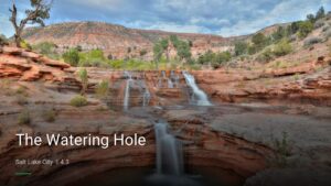 The Watering Hole — Sports bars in Salt Lake City