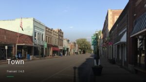 Town — Sports bars in Fremont