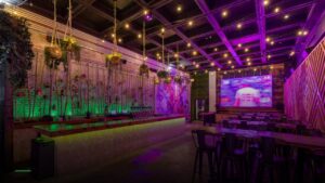 Tree House Chicago — Sports bars in Chicago