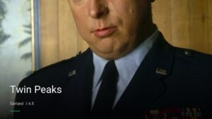 Twin Peaks — Sports bars in Garland