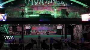 VIVA — Pubs in Torquay