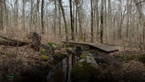 Wooden Bridge — Pubs in Crawley