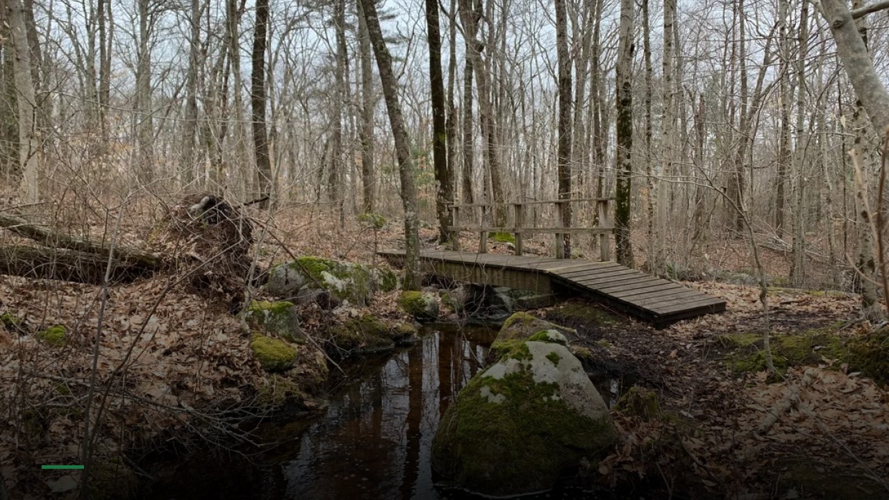 Wooden Bridge - Sports Bars in Crawley